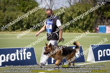 IMG_2091.jpg