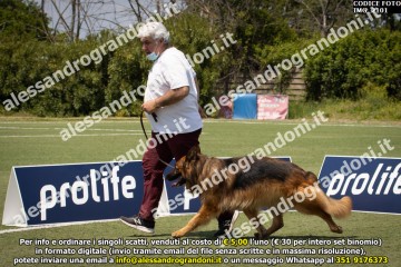 IMG_2101.jpg
