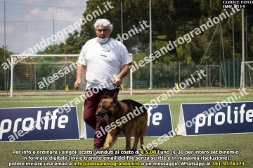 IMG_2114.jpg