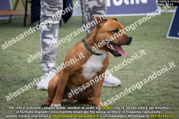 IMG_2119.jpg