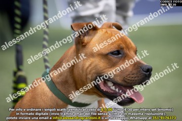 IMG_2120.jpg