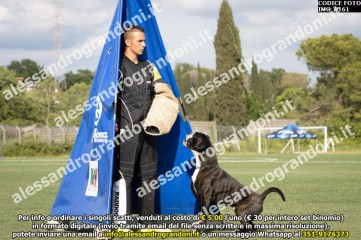 IMG_0161.jpg