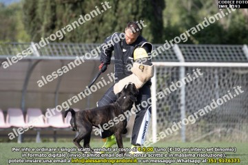 IMG_0193.jpg