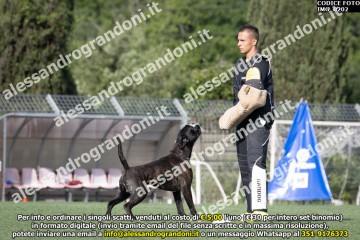 IMG_0202.jpg