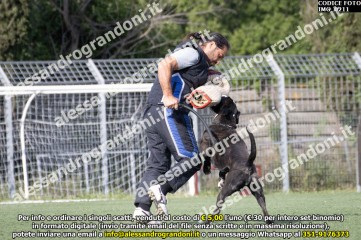 IMG_0211.jpg