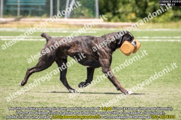 IMG_0627.jpg