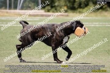 IMG_0628.jpg
