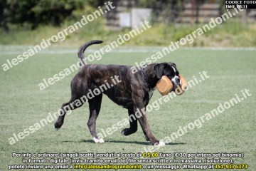IMG_0631.jpg