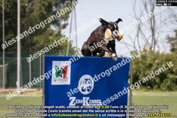 IMG_0635.jpg