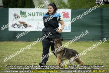 IMG_0711.jpg