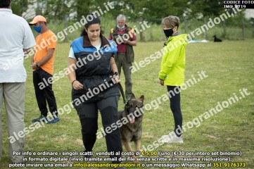 IMG_0719.jpg