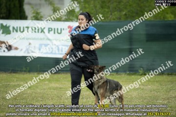 IMG_0723.jpg