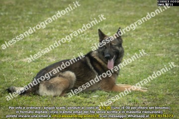 IMG_0731.jpg
