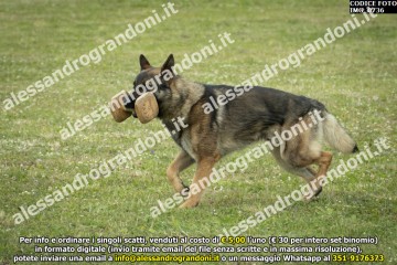 IMG_0736.jpg