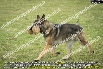 IMG_0738.jpg