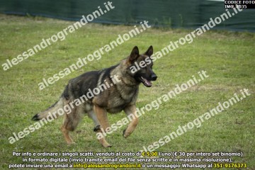 IMG_1035.jpg