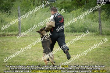 IMG_1055.jpg