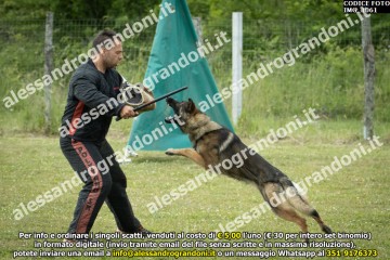 IMG_1061.jpg
