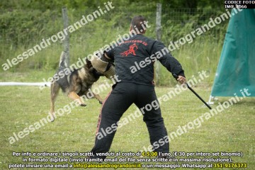 IMG_1066.jpg