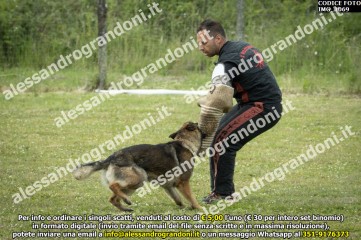 IMG_1069.jpg