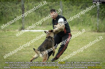 IMG_1071.jpg