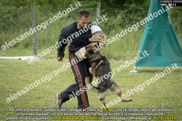 IMG_1072.jpg