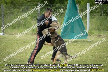 IMG_1074.jpg