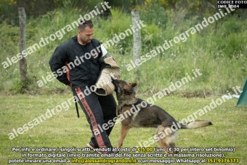 IMG_1084.jpg