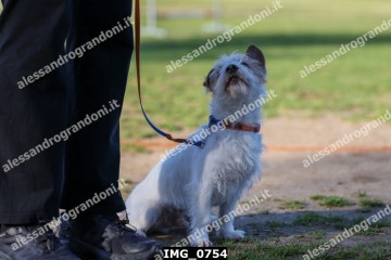 IMG_0754.jpg