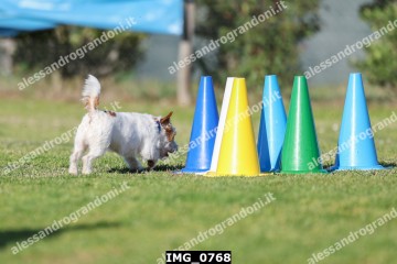 IMG_0768.jpg