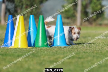IMG_0778.jpg