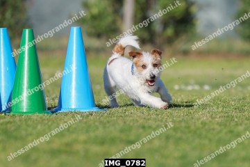 IMG_0782.jpg