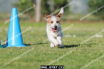 IMG_0787 (2).jpg