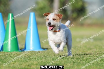 IMG_0795 (2).jpg