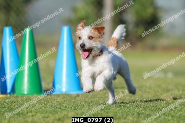 IMG_0797 (2).jpg