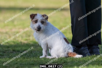 IMG_0827 (2).jpg