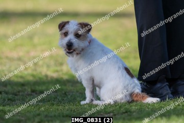 IMG_0831 (2).jpg