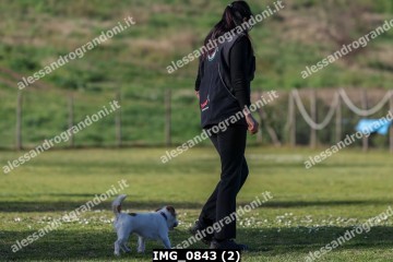 IMG_0843 (2).jpg