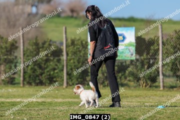 IMG_0847 (2).jpg