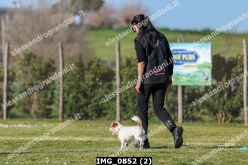 IMG_0852 (2).jpg