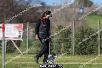 IMG_0890 (2).jpg