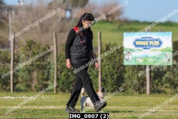 IMG_0907 (2).jpg