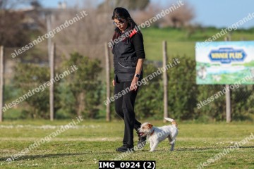 IMG_0924 (2).jpg