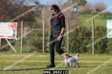 IMG_0932 (2).jpg