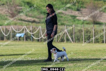 IMG_0946 (2).jpg