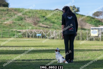 IMG_0952 (2).jpg