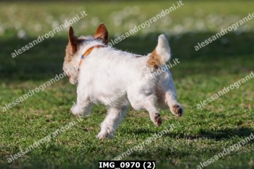 IMG_0970 (2).jpg