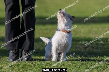 IMG_1017 (2).jpg