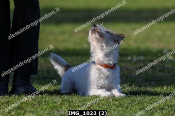 IMG_1022 (2).jpg