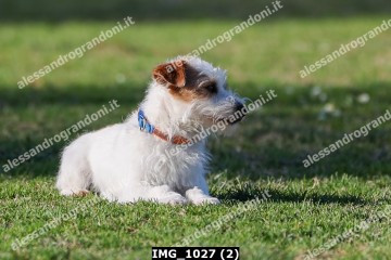 IMG_1027 (2).jpg